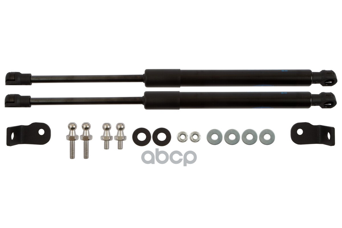 Упоры капота для OMODA S5 2023-н.в. Arbori 2 шт. / Омода С5 Arbori арт. ARBORI.HD.068101