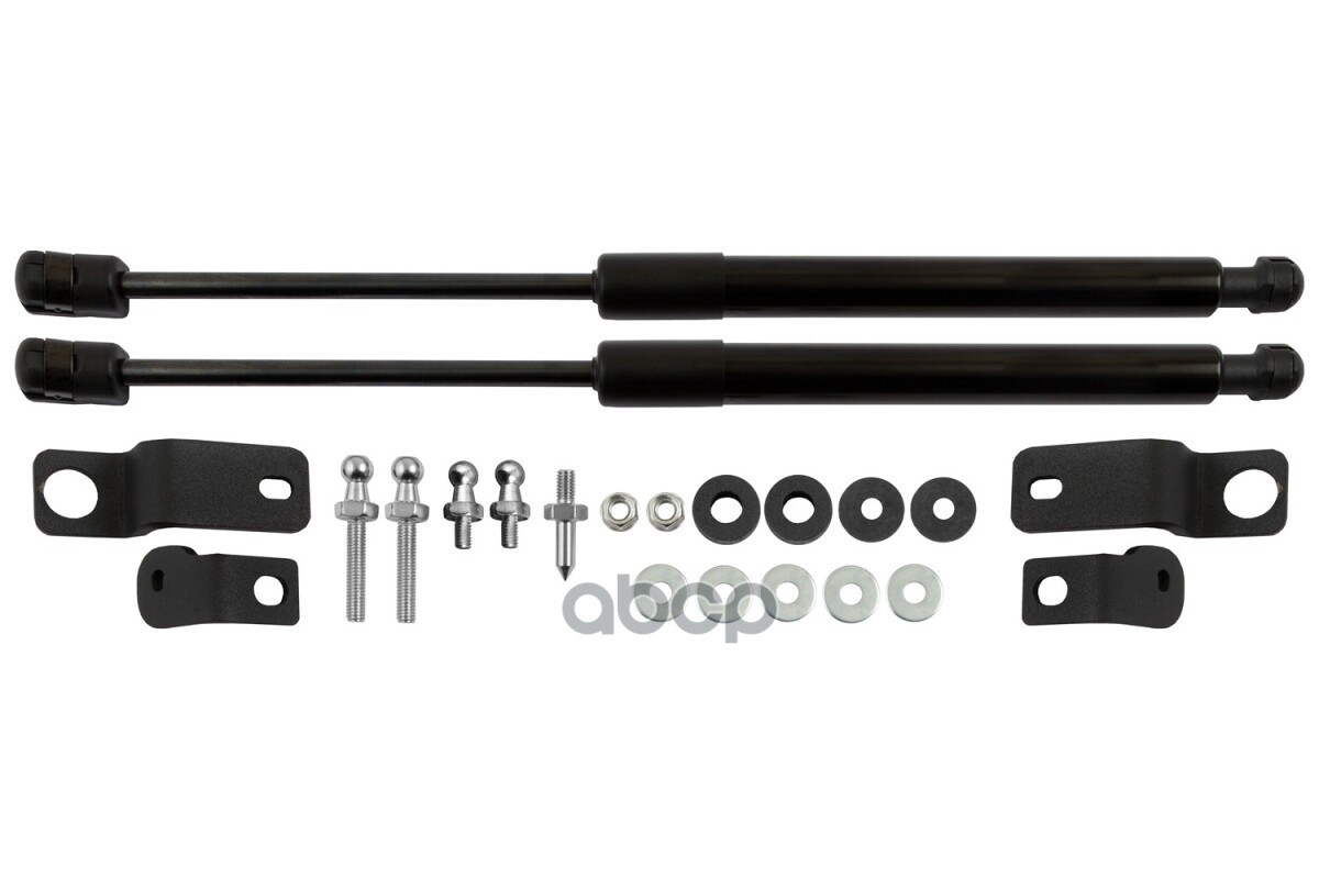 Упоры капота для OMODA S5 GT, 2023-, к-т 2 шт / Омода С5 ГТ Arbori арт. ARBORI.HD.068102