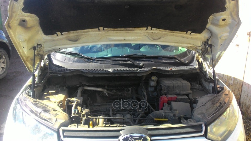Амортизаторы Капота Для Ford Ecosport 2014-2018, 2 Шт. / Форд Экоспорт Autofamily арт. KU-FD-ES00-00