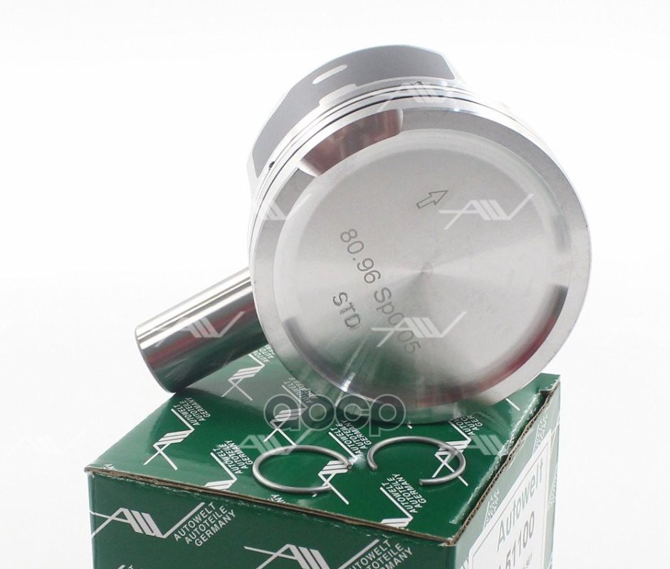 Pn-51102 Поршень 0.25 Audivw 1.8T 20V Aebagu Autowelt арт. pn51102