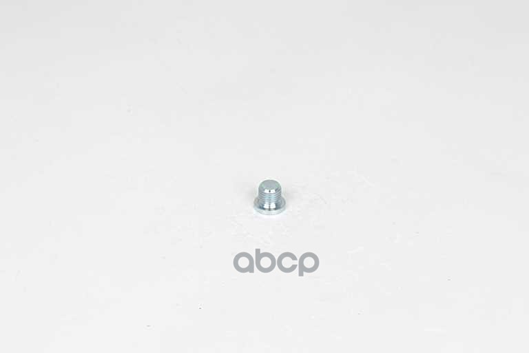 Пробка поддона TOUAREG-Q7-CAYENNE 04- BSG BSG 90-230-011 BSG AUTO PARTS арт. BSG 90-230-011