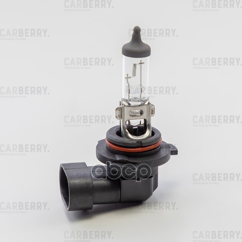 Лампа HB4 12V (51W) Day&Night CARBERRY арт. 31CA2
