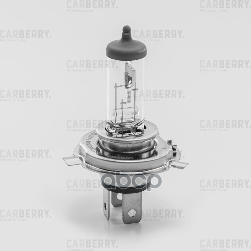 Лампа H4 12V (60/55W) Day&Night CARBERRY арт. 31CA7