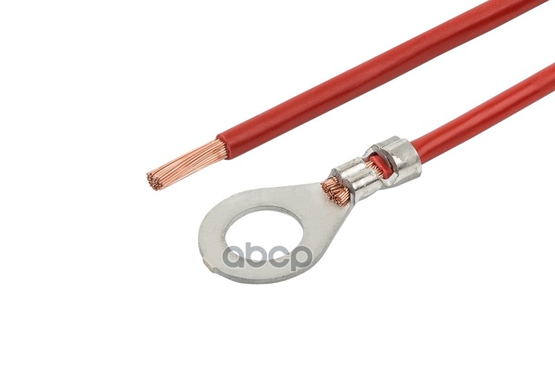 Контакт Кольцевой ? 10,3 Мм С Проводом 4,0 Мм? Cargen Ax59101 Cargen арт. AX59101