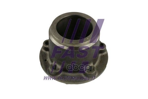 СТУПИЦА КОЛЕСА RENAULT MASTER 10 ЗАД FT24058 FAST арт. FT24058