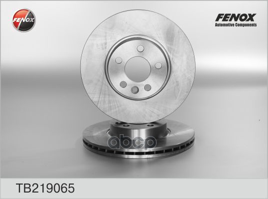Диск торм.Ford Galaxy VW Transporter FENOX арт. tb219065