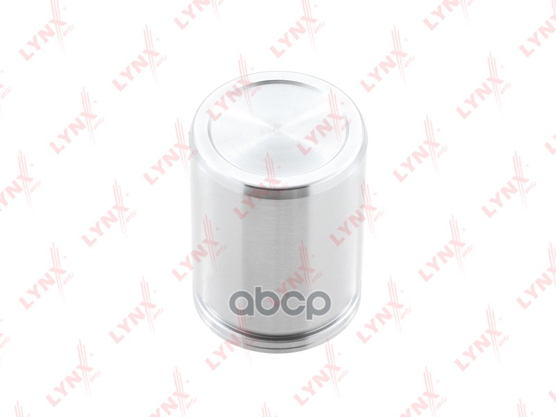 Поршень тормозного суппорта заднего (d 48 mm  суппорт Brembo) IVECO Daily IV-VI 06> LYNXauto арт. bc-4260