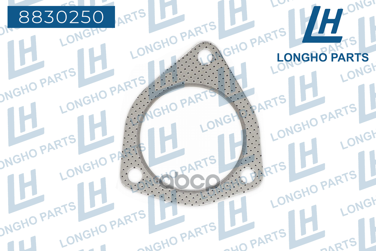 Прокладка Катализатора  Zaz Lanos Chance Евро-3 (Большое Отверстие) Tf69y012060 Longho арт. 8830250