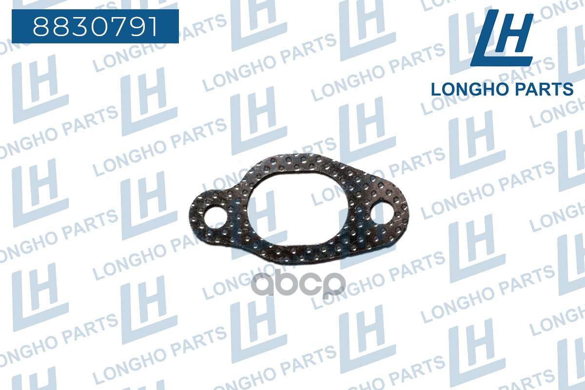 Прокладка Выпускного Коллектора  Audi A6/S6/Avant  026129589A Longho арт. 8830791