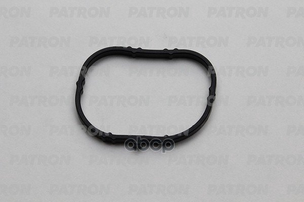 Прокладка впускного коллектора RENAULT Megane 1.41.6 16V K4JK4M 97 In  PG51029 PATRON арт. PG51029