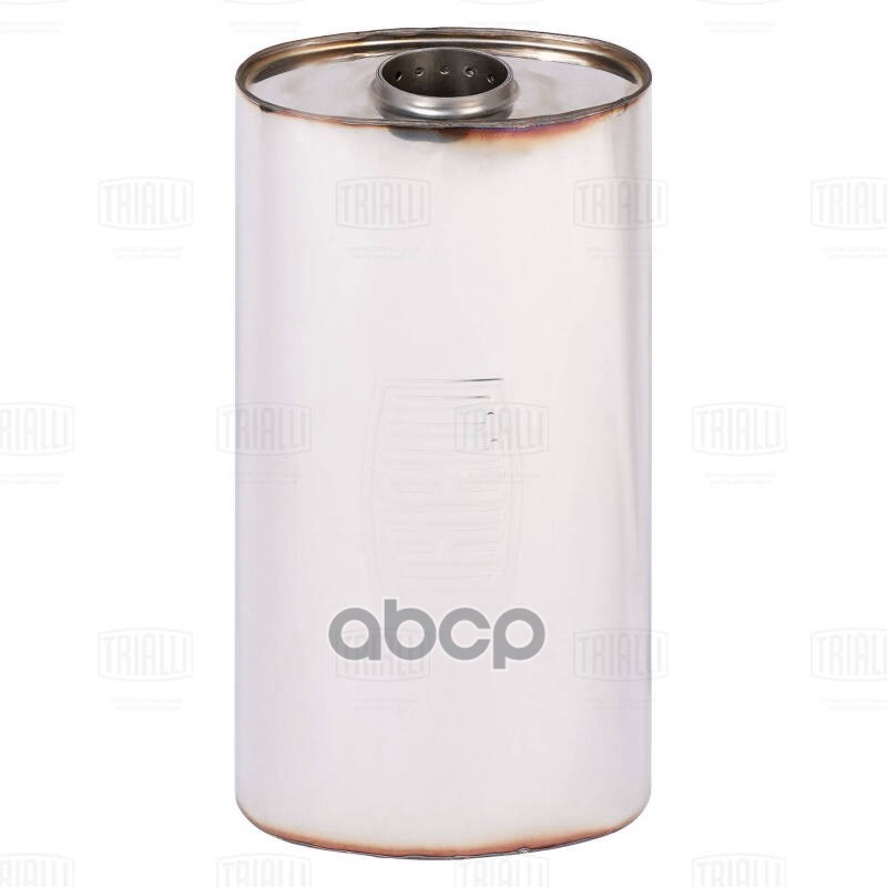 Пламегаситель Универс. 170-105/L 360-54 С Перф. Диффузором Нерж. Сталь Esm 17136054 D Trialli арт. ESM17136054d