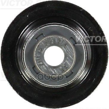 Колпачок маслосъемный 70-54093-00 VICTOR REINZ арт. 70-54093-00
