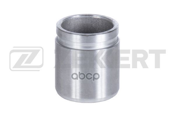 Поршень тормозного суппорта перед. Nissan Qashqai (_J10_) 07-  Murano (Z50-52) 03-  Infiniti FX35 (S Zekkert арт. br-1567