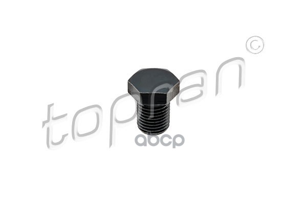 Пробка Маслосливного Отверстия (Замена Для Hp-108084755) topran арт. 108084001