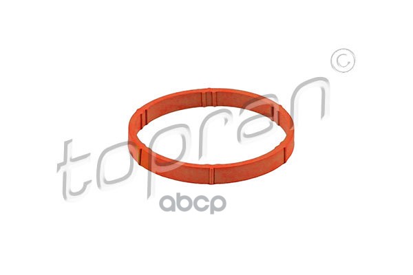 Прокладка впускного коллектора (замена для HP-109374785) topran арт. 109374001