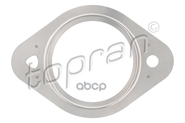 Прокладка Выпускной Трубы Глушителя (Замена Для Hp-113938755) topran арт. 113938001