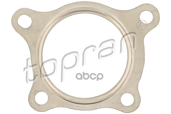 Прокладка Выпускной Трубы Глушителя (Замена Для Hp-117174685) topran арт. 117174001