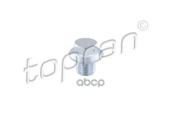 Пробка Маслосливного Отверстия (Замена Для Hp-502935785) topran арт. 502935001
